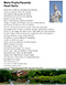 The Heart Sutra